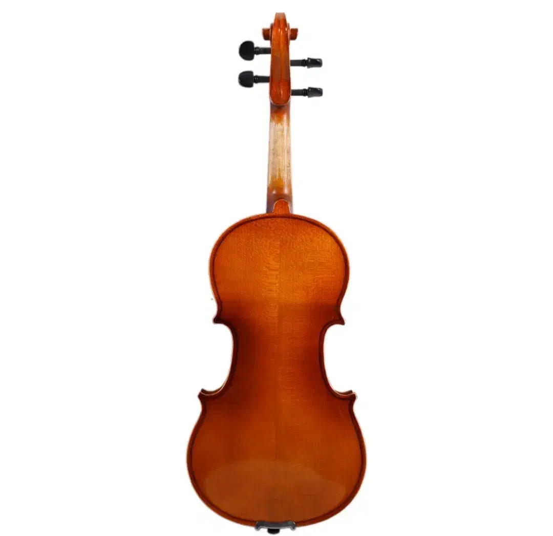 ویلن تی اف سایز 3/4|ویولن|نیشابور, دارایی|دیوار