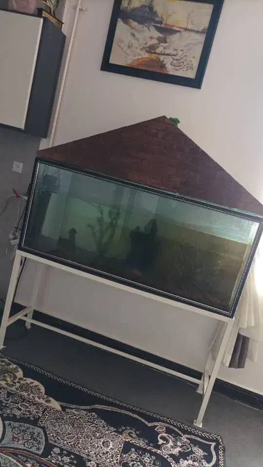 آکواریوم باتمام وسایل|ماهی|امیدیه, |دیوار