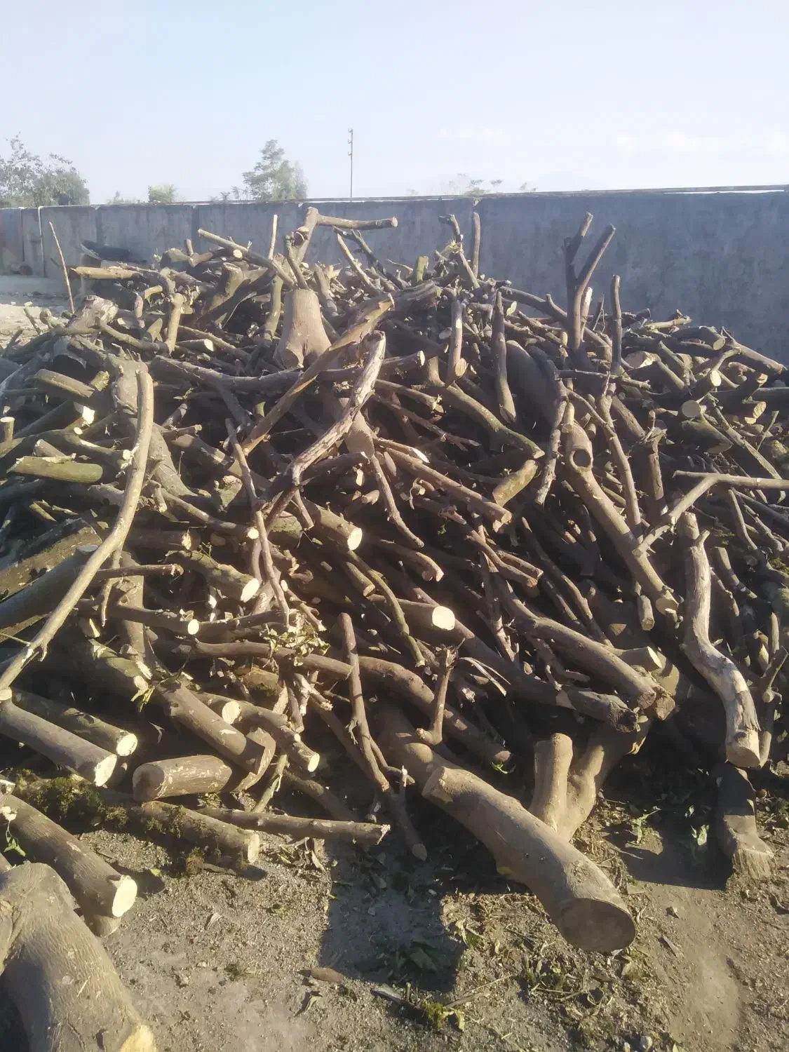 کارگرساده آقا جهت کار در کارگاه زغال|استخدام صنعتی، فنی، مهندسی|گرگان, |دیوار