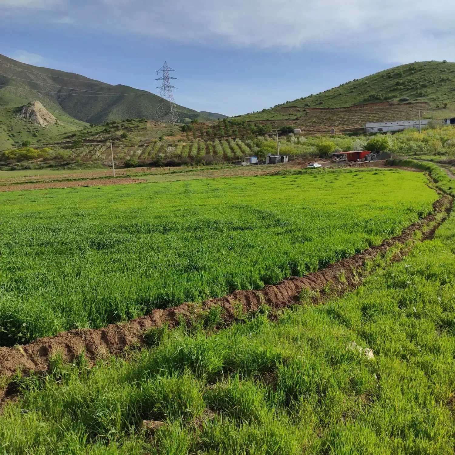 زمین کشاورزی فروشی سد گاوشان 12هزار متر|فروش دفتر صنعتی، کشاورزی، تجاری|کامیاران, |دیوار