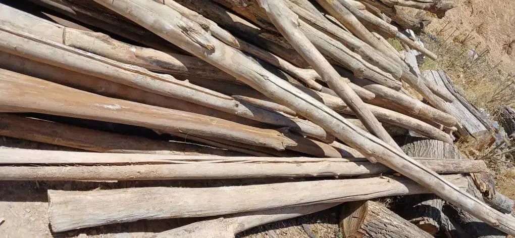 خرید و فروش چوب با بهترین قیمت|عمدهفروشی|شیراز, کیان آباد|دیوار