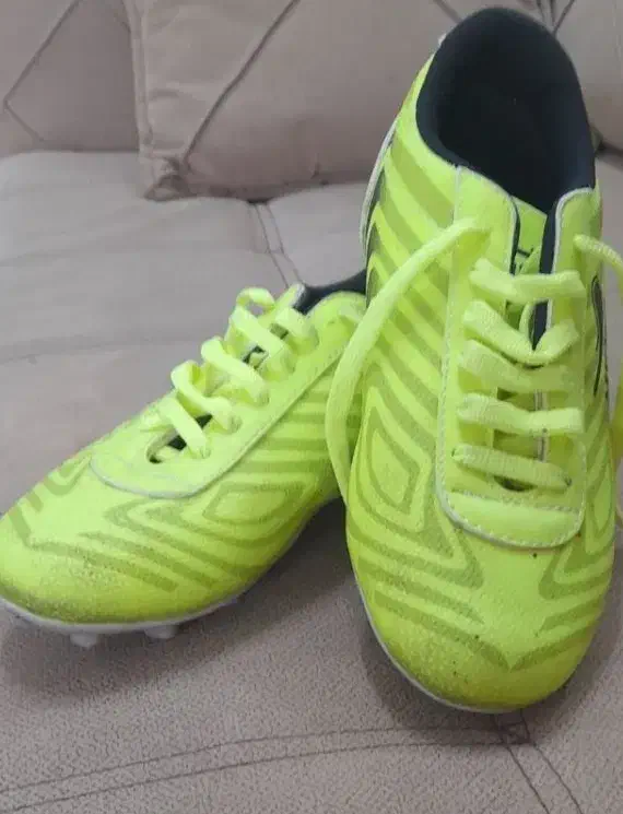 دوعددکتانی فوتبال نو|کیف، کفش، کمربند|بندر انزلی, نوغان|دیوار