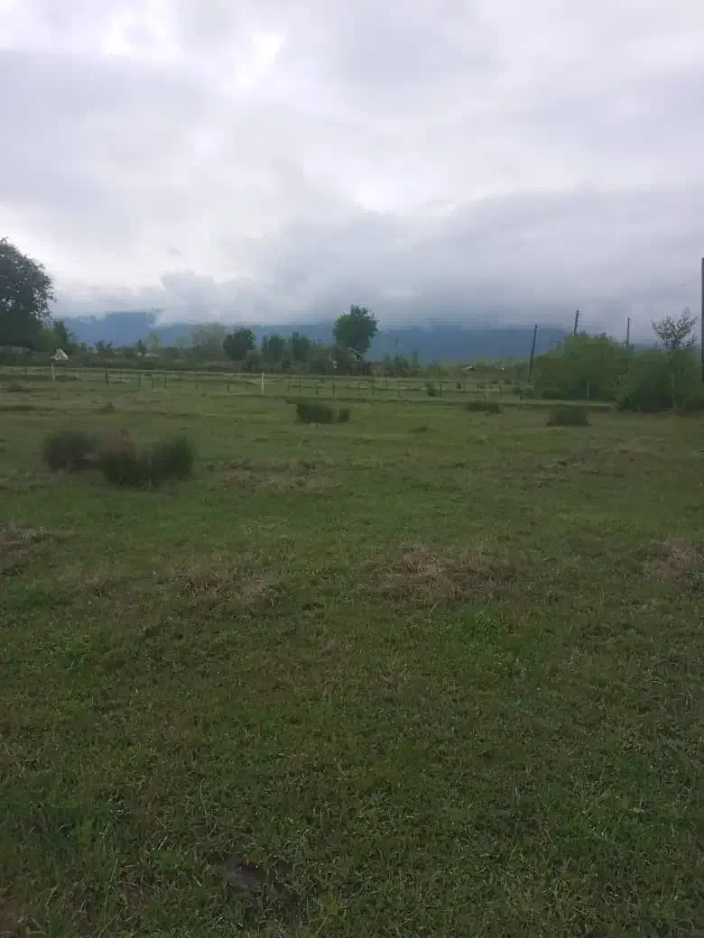 زمین بایر لاهیجان سیاهکل|فروش زمین و ملک کلنگی|سیاهکل, |دیوار