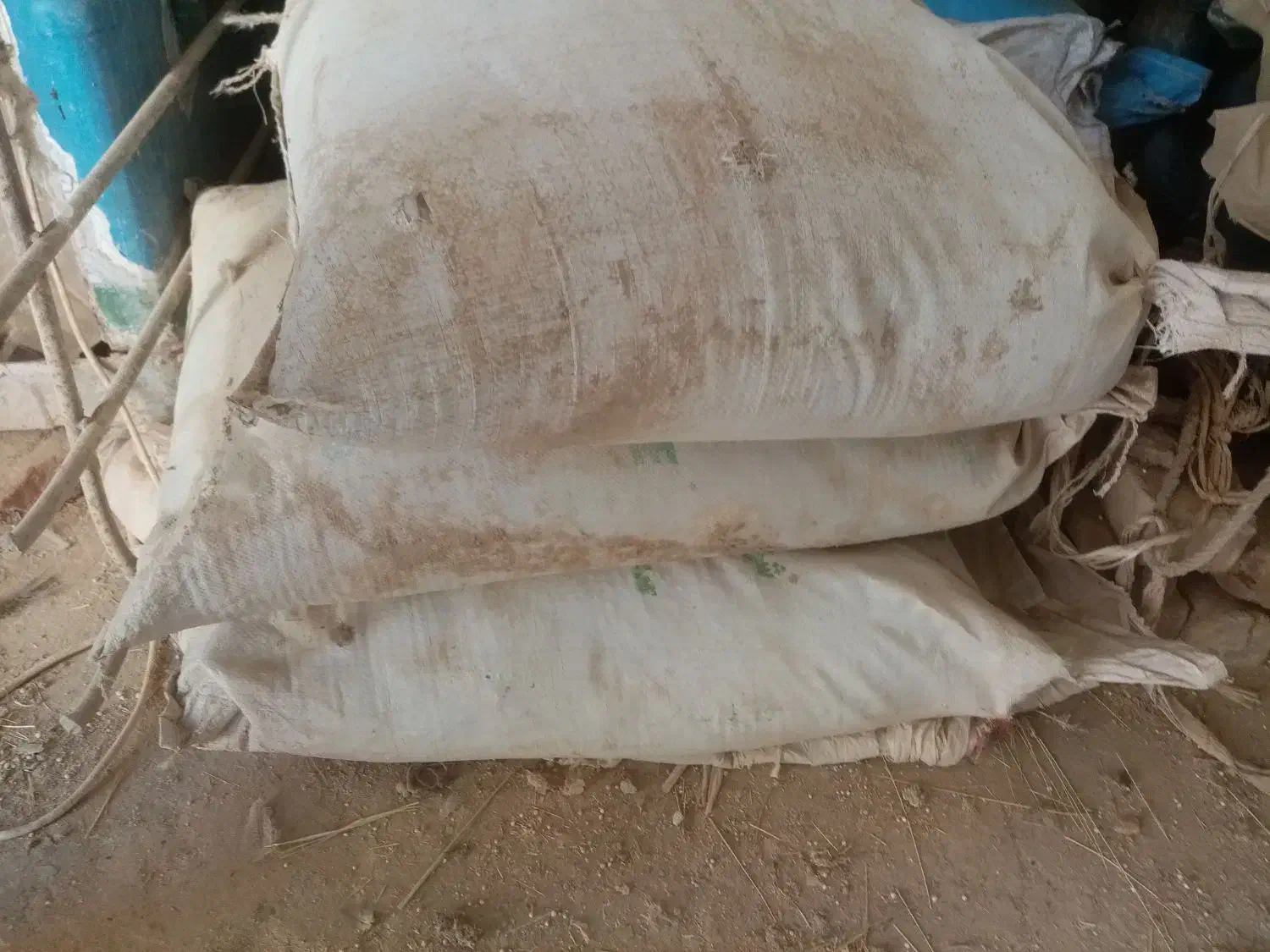 کود سیاه|گل و گیاه طبیعی|زهک, |دیوار