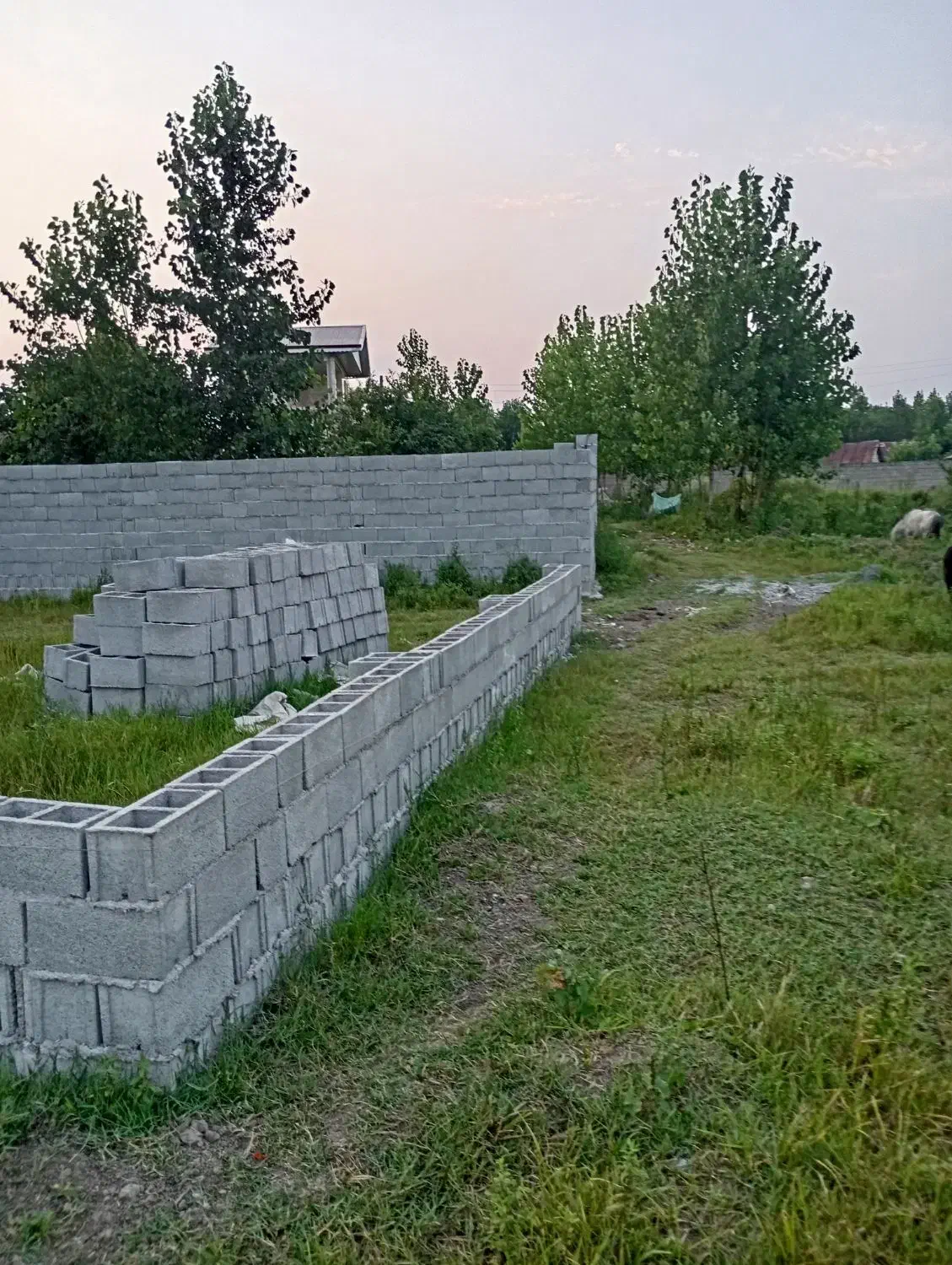 زمین ۳۰۰ متری تمام مسکونی|فروش زمین و ملک کلنگی|طاهرگوراب, |دیوار