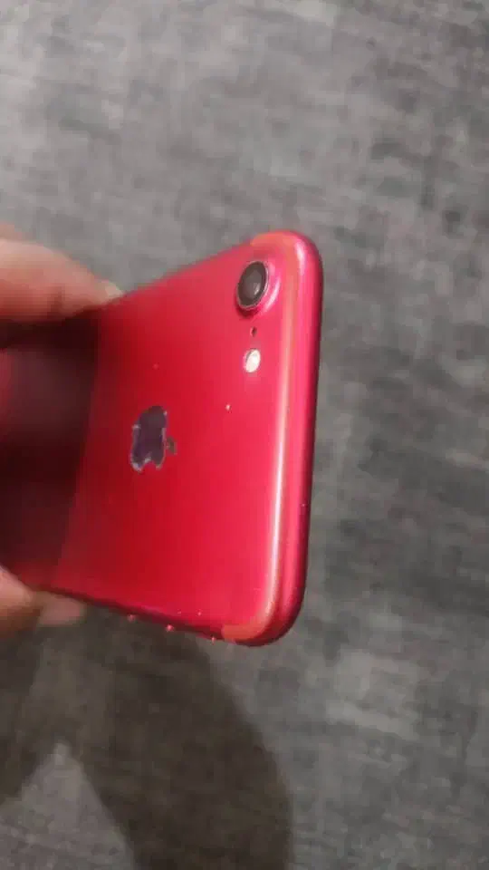 گوشی آیفون 7|موبایل|شیراز, دشت چنار|دیوار