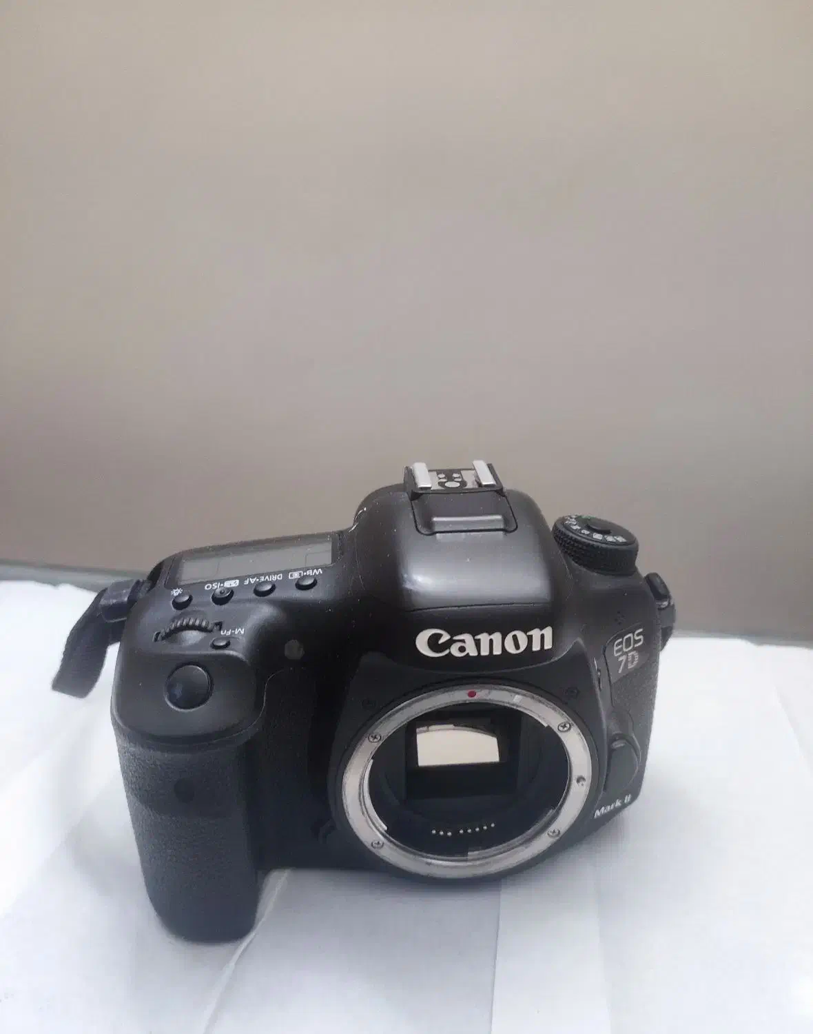 کنون 7D mark II|دوربین عکاسی و فیلمبرداری|اصفهان, باغ زرشک|دیوار