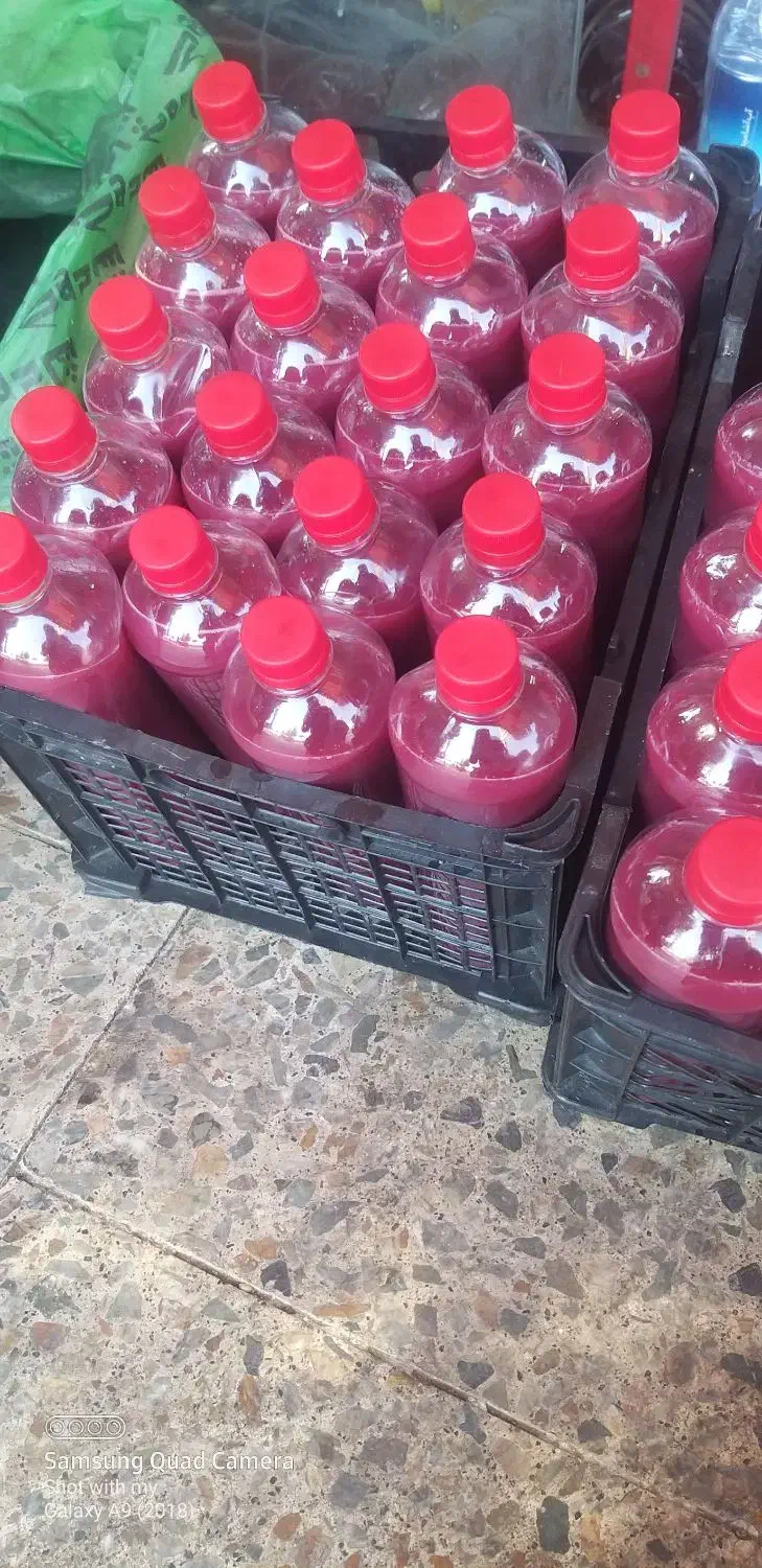 دستگاه انار دون کن تمام اتوماتیک با ۵ سال سابقه|کافیشاپ و رستوران|کهک, |دیوار