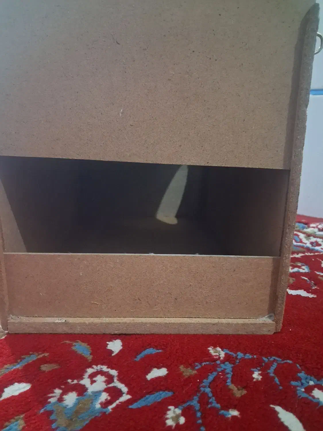 قفس|لوازم جانبی حیوانات|داراب, |دیوار