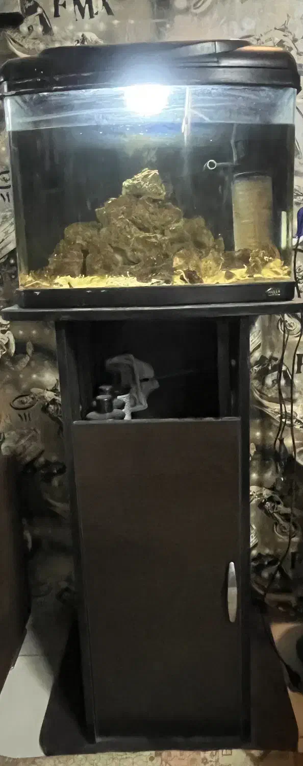 آکواریم آبشور|ماهی|تهران, شمس‌آباد|دیوار