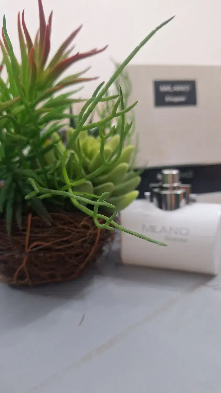 ادکلان میلانو|آرایشی، بهداشتی، درمانی|نجف‌آباد, ویلاشهر|دیوار