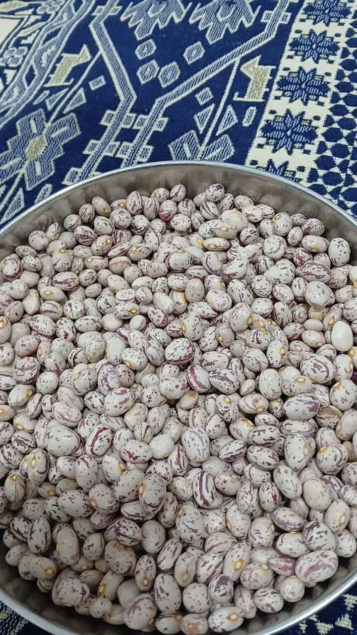 لوبیا چیتی و لوبیا قرمز درجه یک پزا|حراج|شاهرود, |دیوار