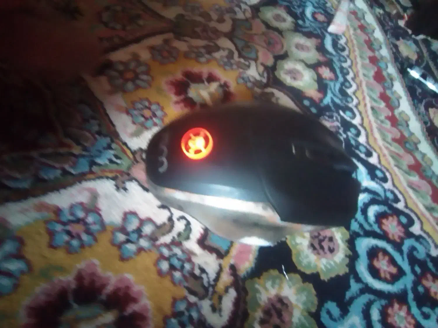 ماوس گیمینگ اصلی مفت مفت|قطعات و لوازم جانبی رایانه|بندرعباس, |دیوار