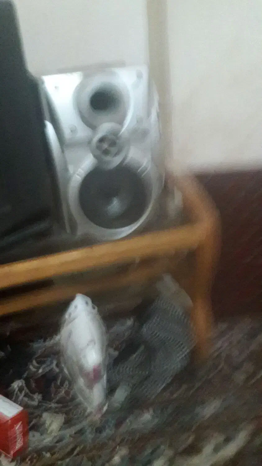 باندساب|سیستم صوتی خانگی|کنگاور, |دیوار