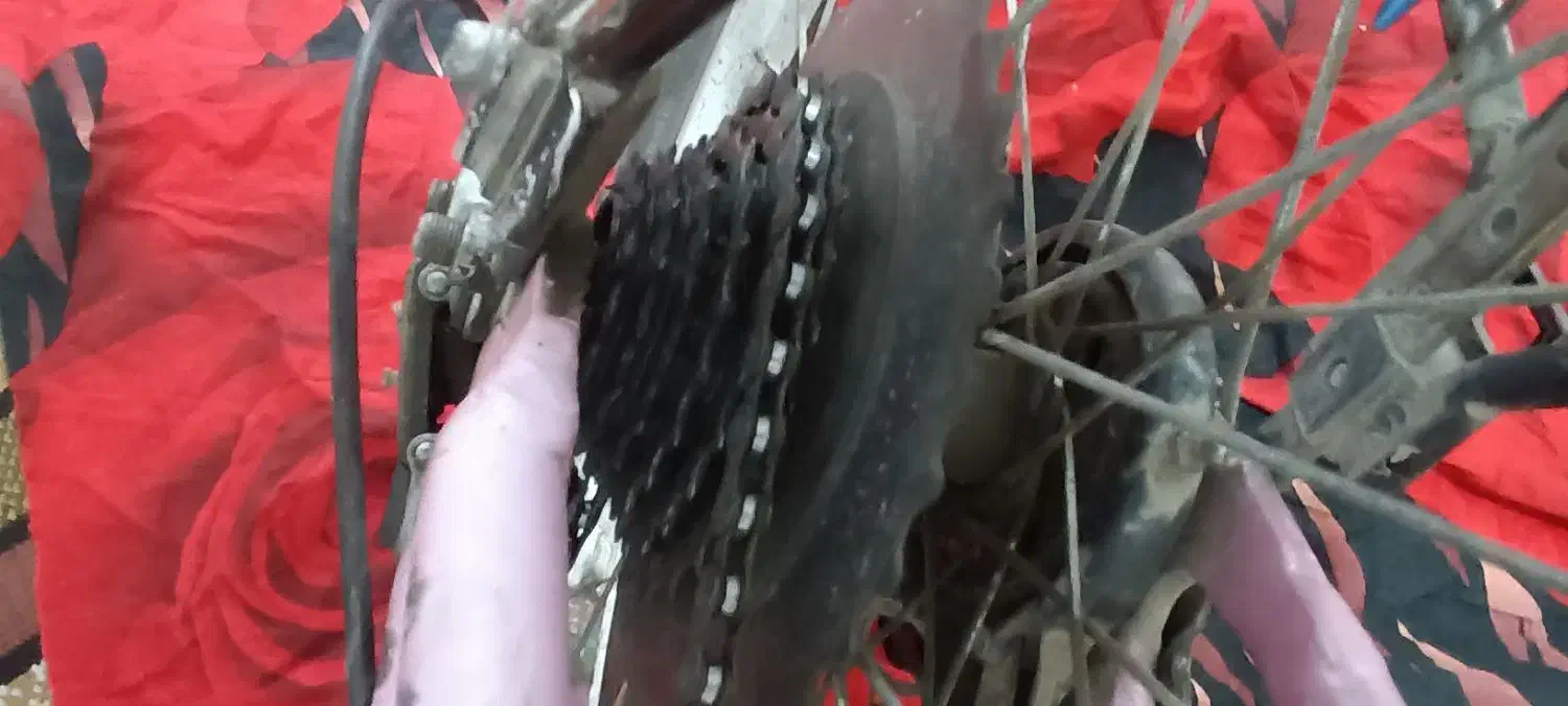 دوچرخه دخترانه|دوچرخه، اسکیت، اسکوتر|گرگان, |دیوار