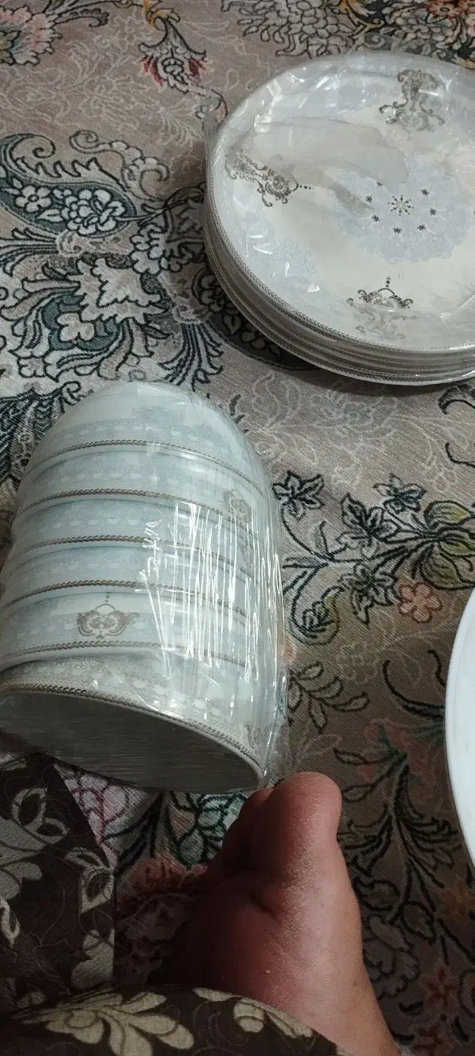 ظروف آرکو اپال کاملیا|ظروف سرو و پذیرایی|پاکدشت, پاکدشت (مامازند)|دیوار