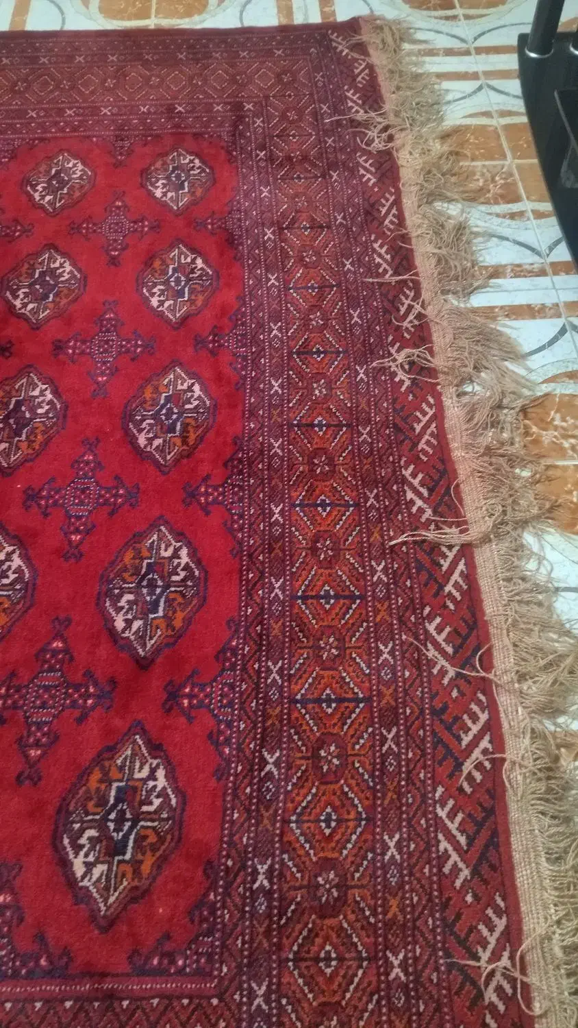 فرش ترکمنی دست بافت|فرش|کردکوی, |دیوار