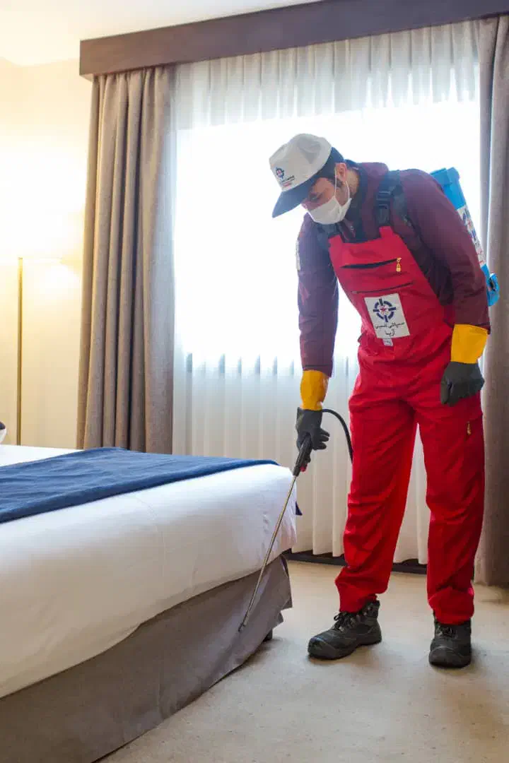 شرکت سم پاشی موریانه زدایی سمپاشی ساس سوسک گال موش|خدمات نظافت|آبادان, |دیوار