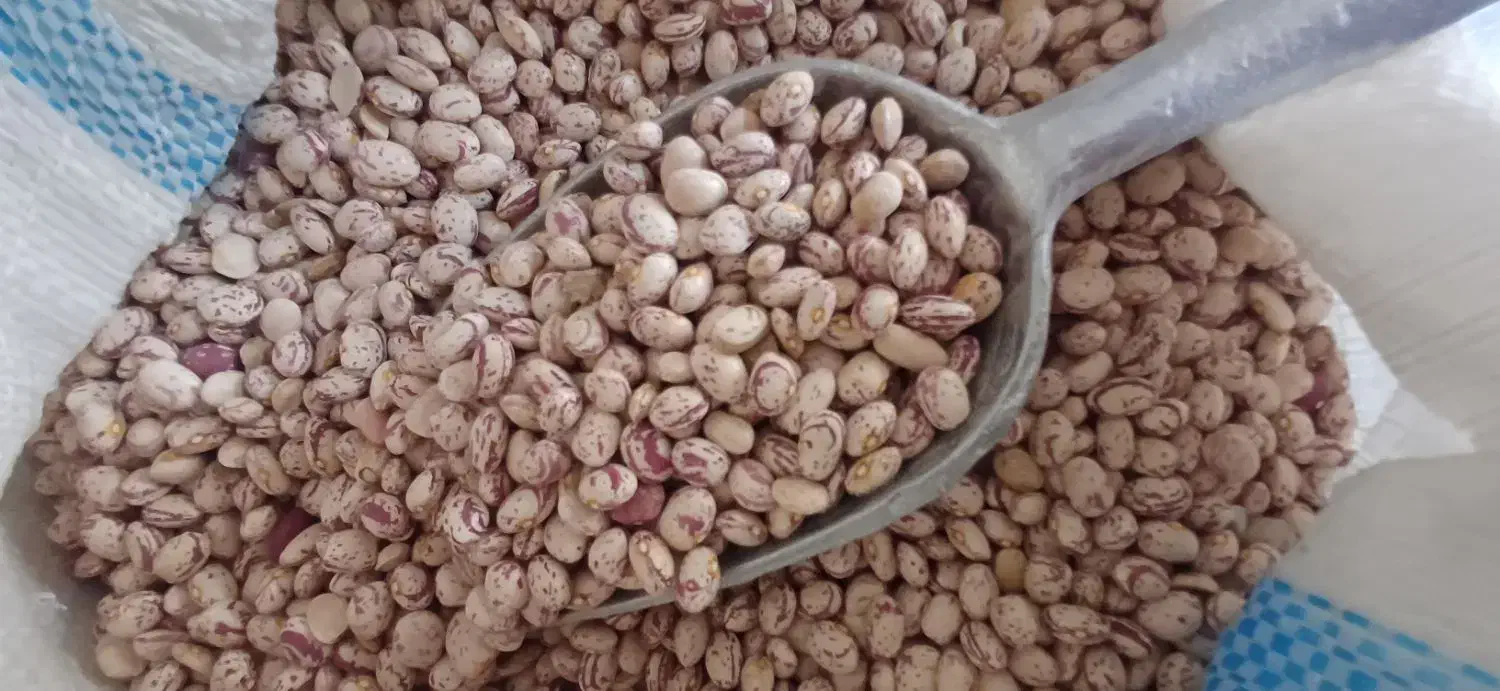 لوبیا چیتی،لوبیا قرمز،خورده برنج|خوردنی و آشامیدنی|شیراز, شهرک صادقیه|دیوار