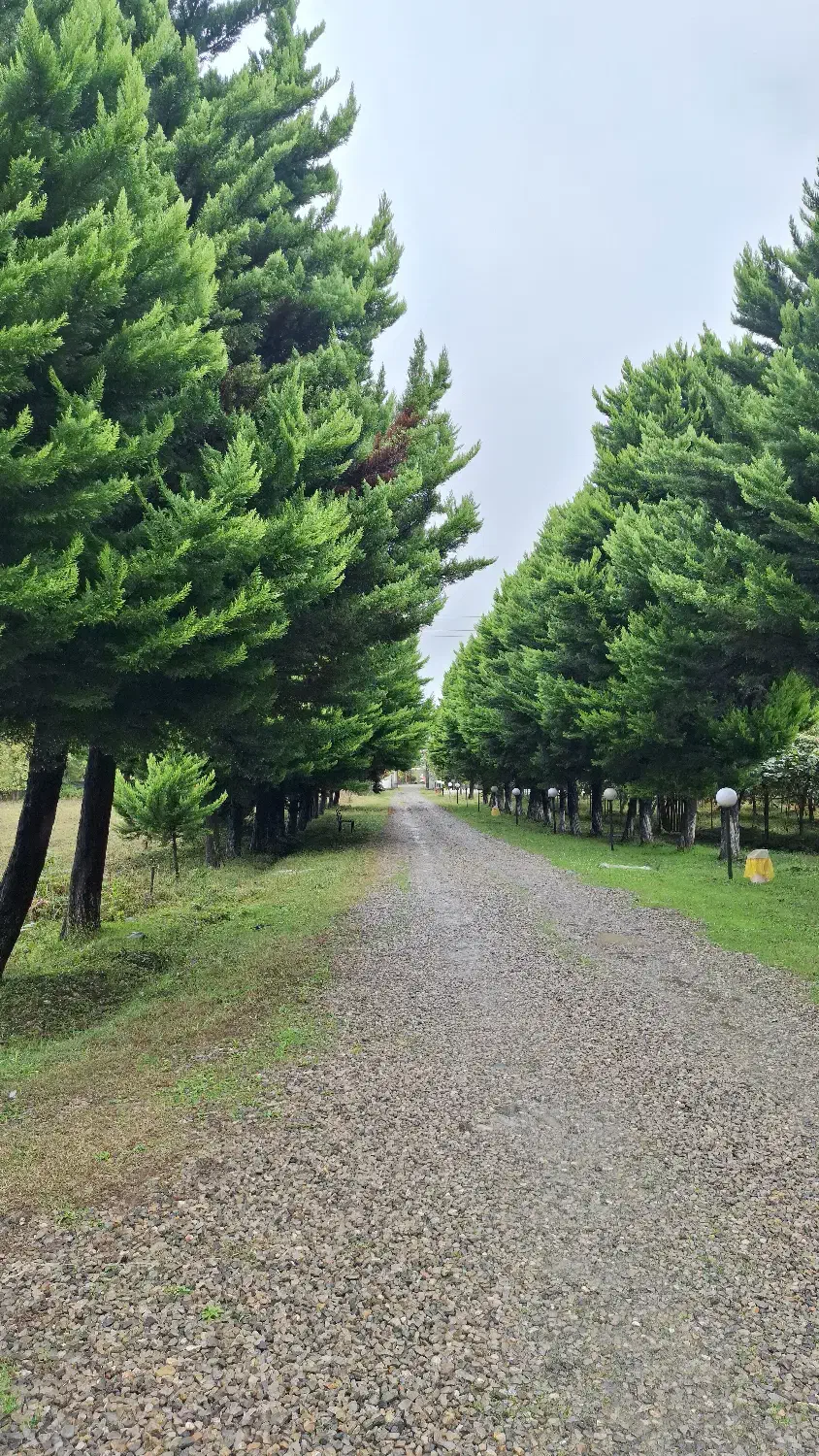 ادمین تولید محتوا|استخدام رایانه و فناوری اطلاعات|اسالم, |دیوار