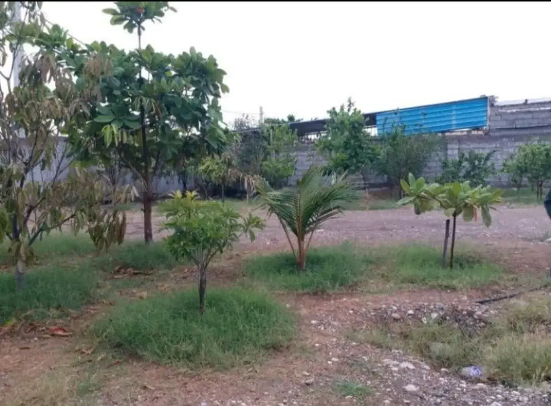 فروش خانه ویلا زیارت سید سلیمان|فروش خانه و ویلا|تخت, |دیوار