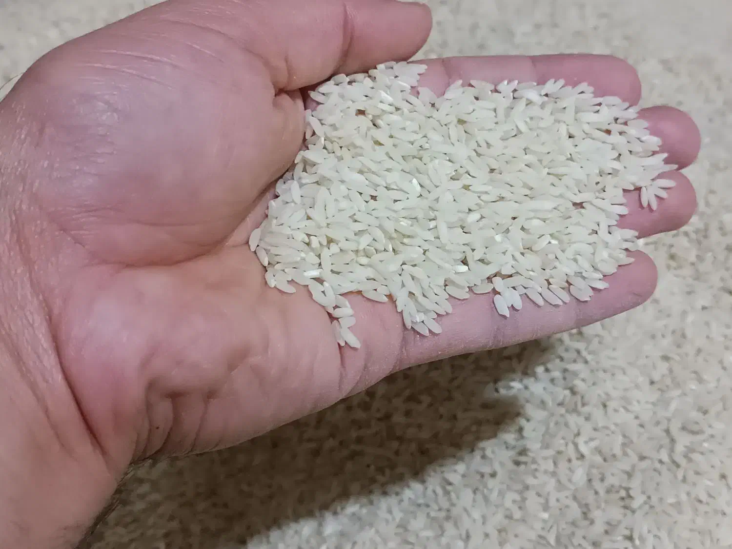 برنج دشت لنجام|خوردنی و آشامیدنی|تهران, دانشگاه شریف|دیوار