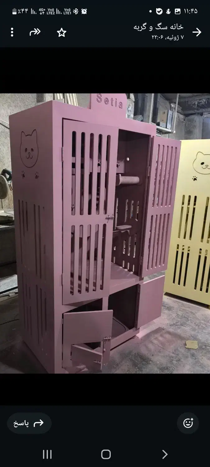 خانه گربه|گربه|قشم, |دیوار