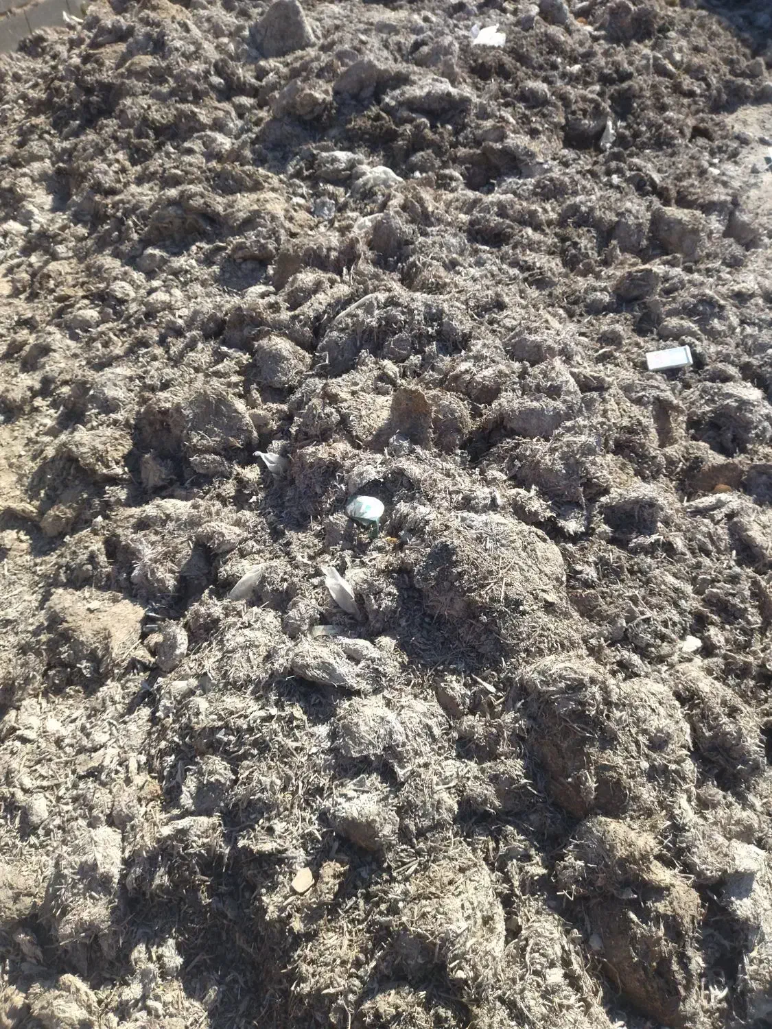 کود کمپست قارچ|خدمات باغبانی و درختکاری|فردوس (خراسان), |دیوار