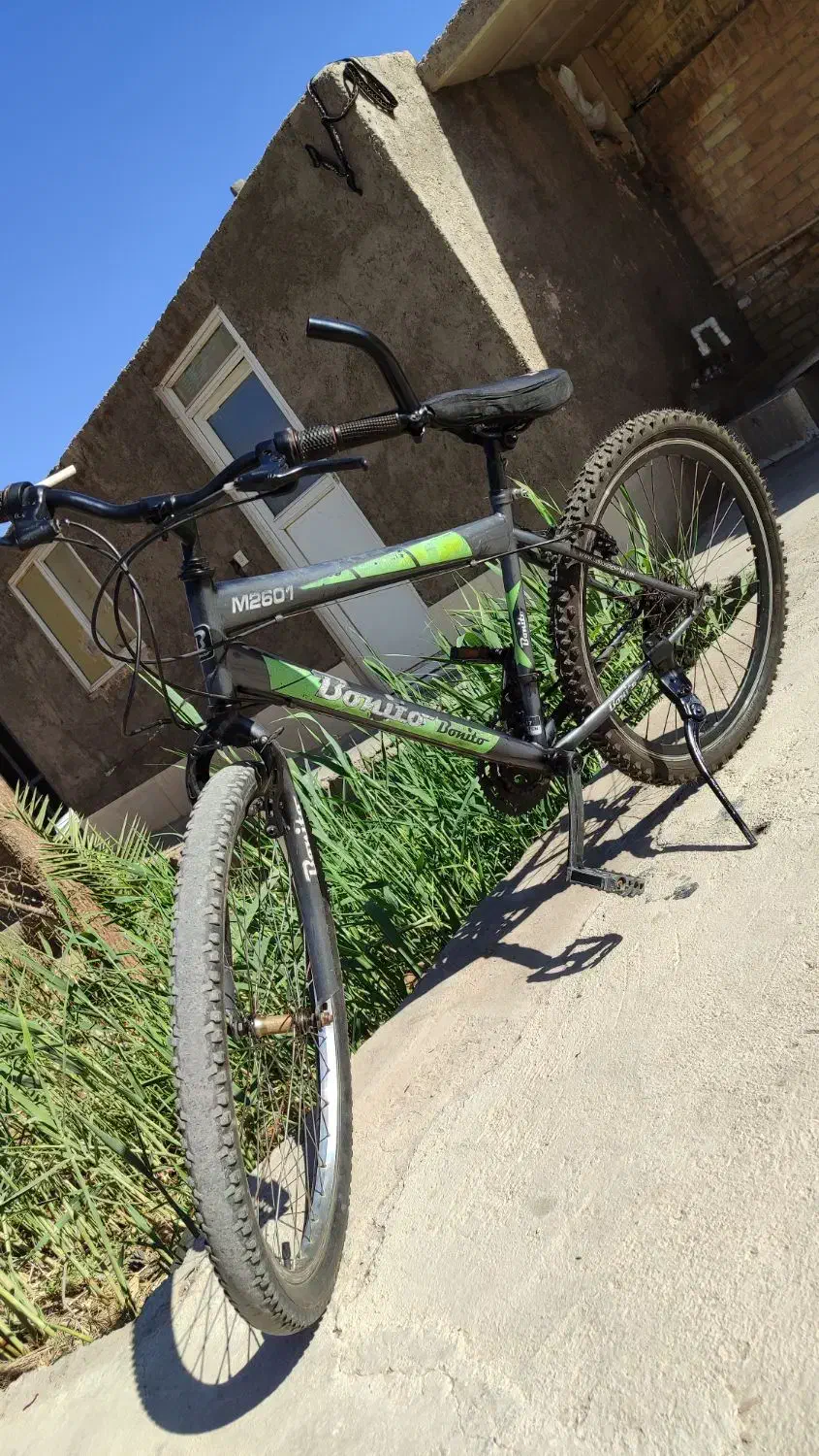 دوچرخه|دوچرخه، اسکیت، اسکوتر|زارچ, |دیوار