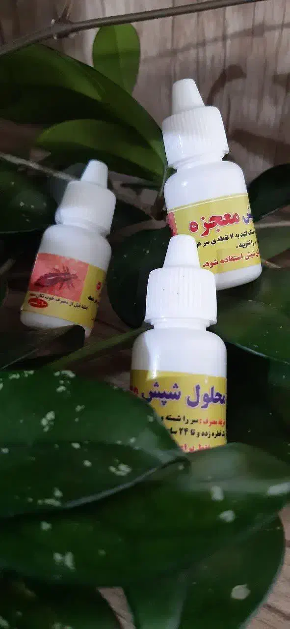 قطره شپش|عمده‌فروشی|شاهین‌شهر, خانه کارگر|دیوار