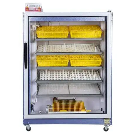 دستگاه جوجه کشی|لوازم جانبی حیوانات|بابل, |دیوار