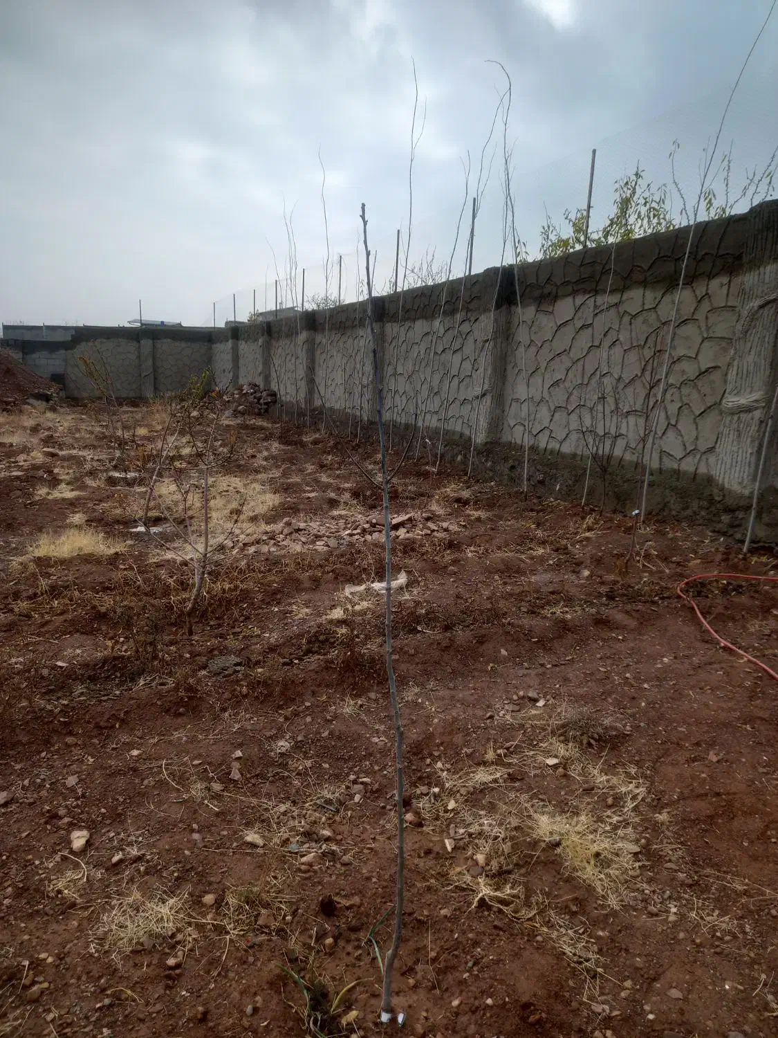 حصارویلایی در مزرعه نزدیک‌امام زاده کوی صفا|فروش خانه و ویلا|صوفیان, |دیوار