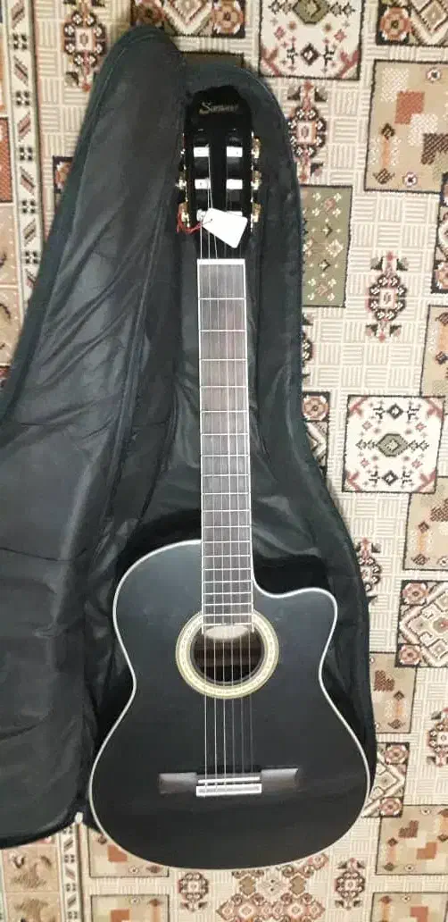 گیتار کلاسیک سانتانا پیکاپدار|گیتار، بیس، امپلیفایر|صدرا-فارس, فاز ۱|دیوار