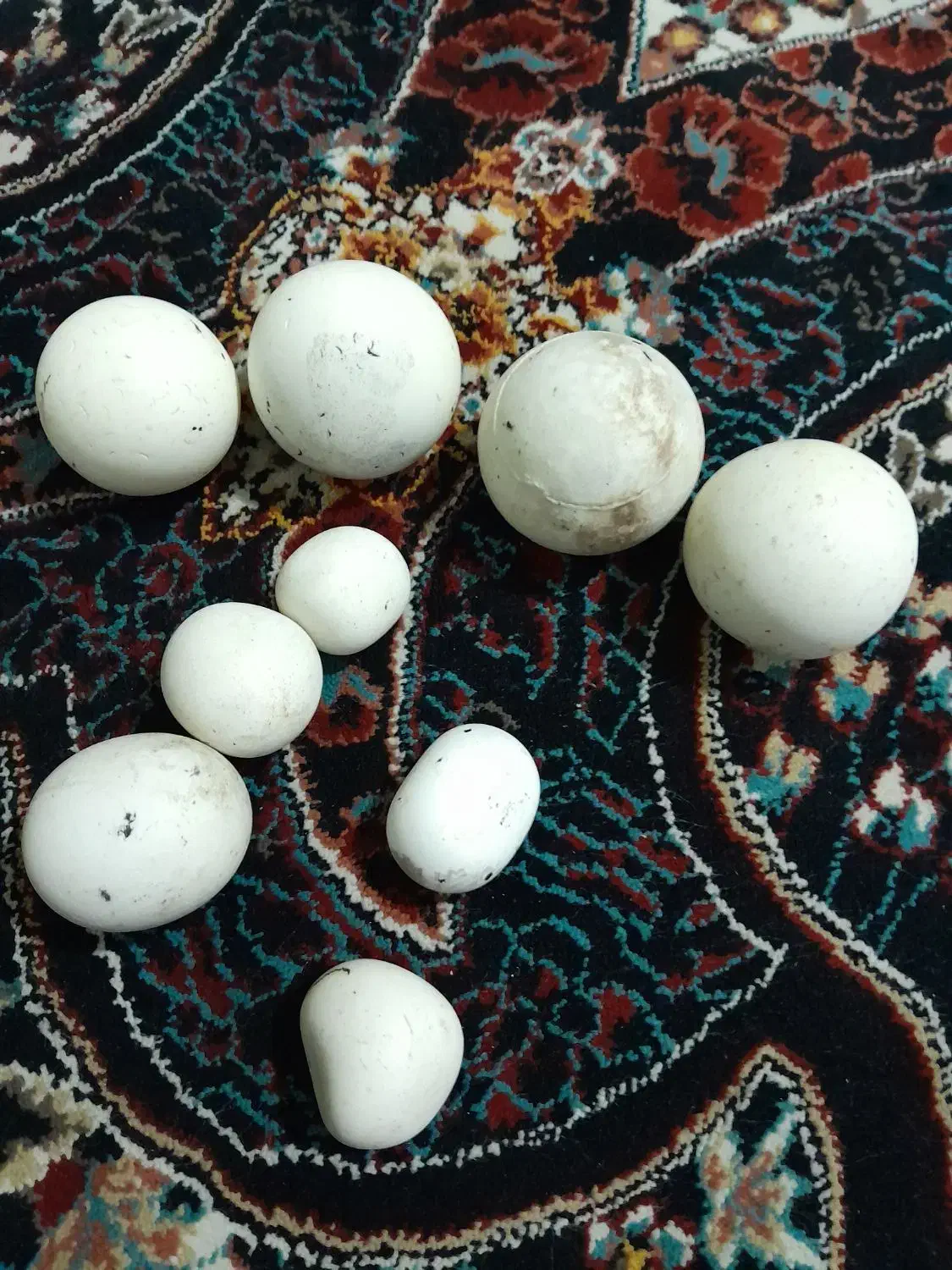 سنگ آسیاب یا سنگ الماس|کلکسیون اشیاء عتیقه|ارومیه, |دیوار