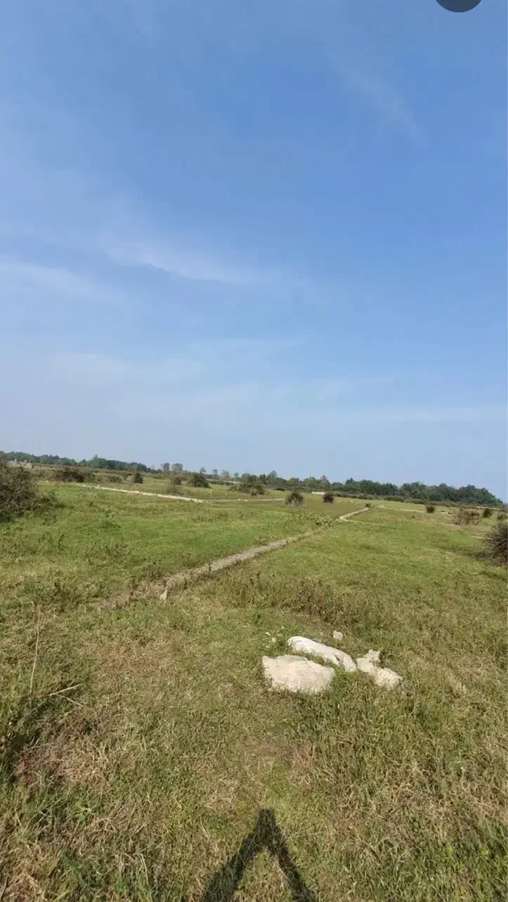 کلانشهر کیاشهر بر دوم دریا|فروش زمین و ملک کلنگی|کیاشهر, |دیوار