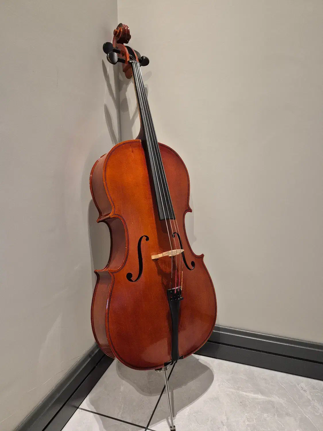 فروش ساز ویلنسل|ویولن|رشت, بلوار گیلان|دیوار