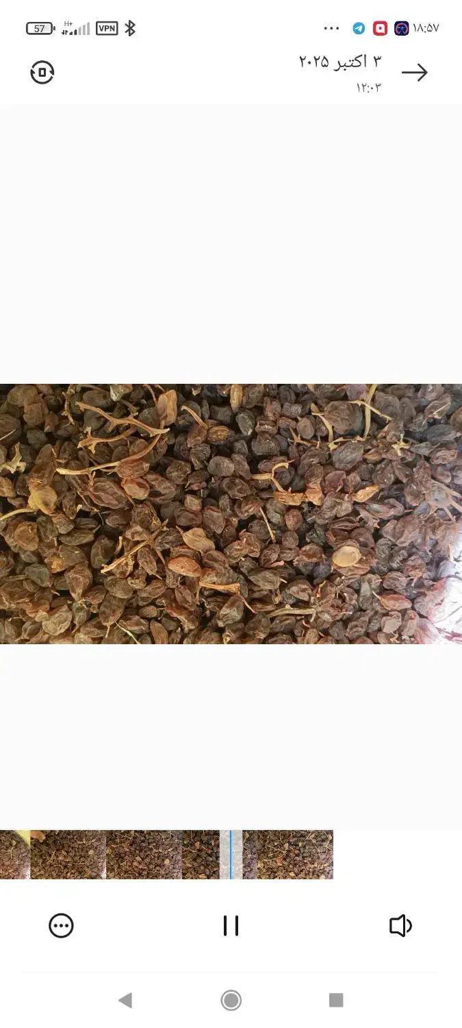 مویز بش درجه یک|خوردنی و آشامیدنی|آباده, |دیوار