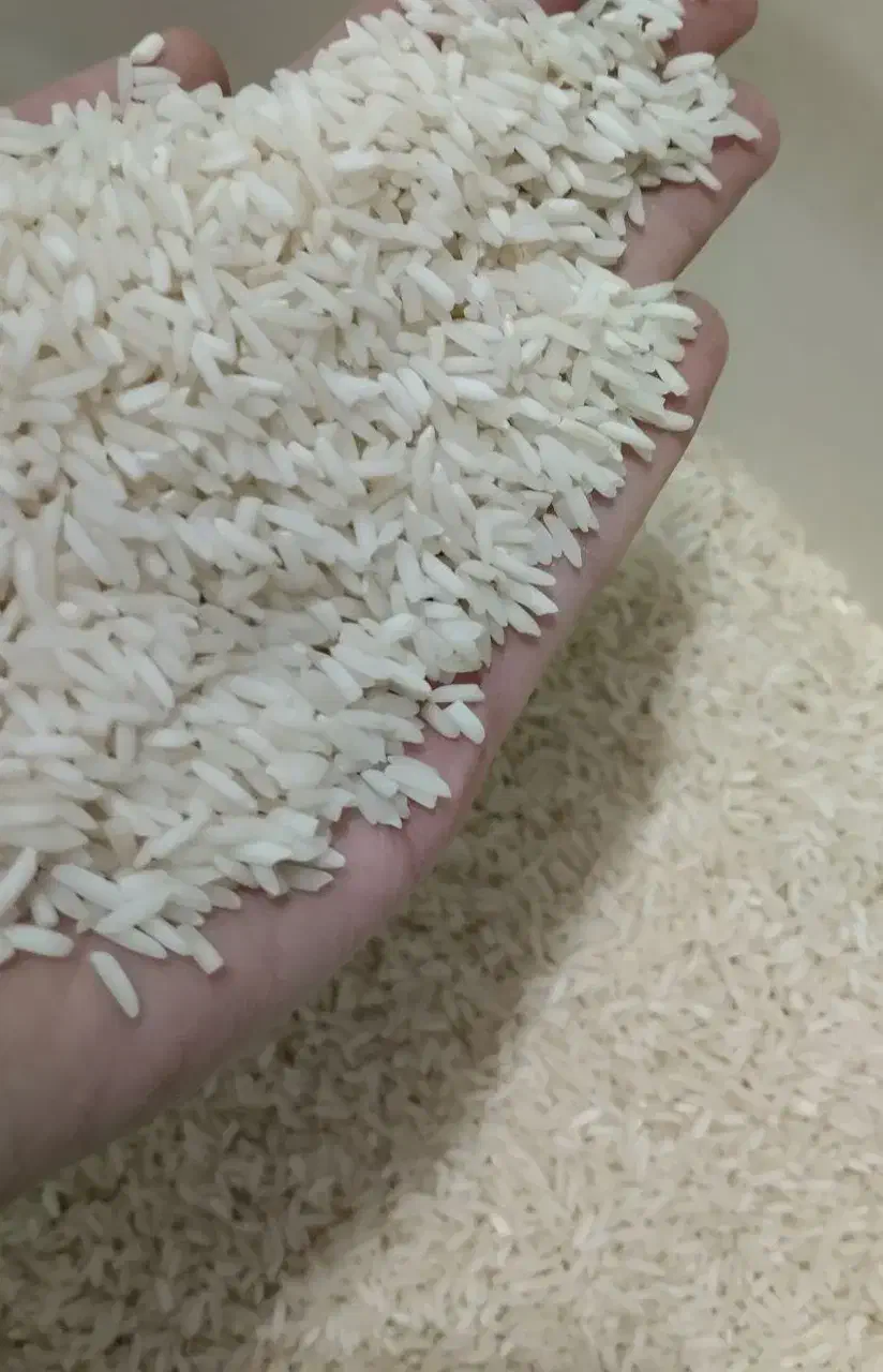 برنج  درشت هاشمی .نیم دانه هاشمی .ریزه هاشمی|خوردنی و آشامیدنی|رشت, جانبازان|دیوار