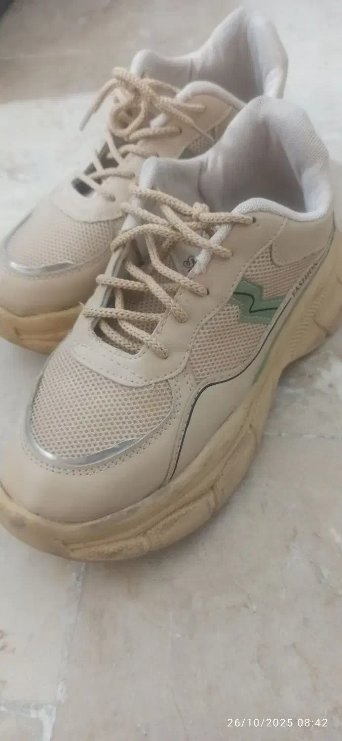 کفش|کیف، کفش، کمربند|بیرجند, |دیوار