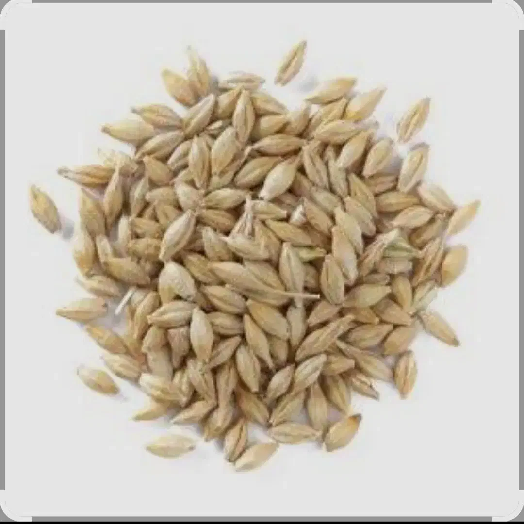 جو برای کشت|خدمات باغبانی و درختکاری|مهربان, |دیوار