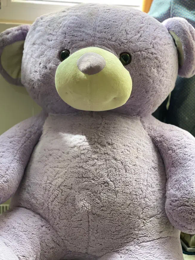 عروسک خرسی بزرگ|اسباب‌‌بازی|مشهد, تربیت (صدف)|دیوار