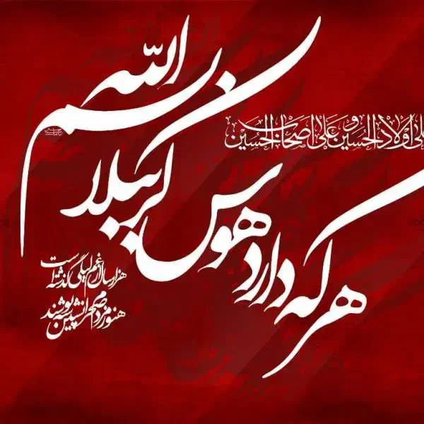 کربلا یک سفر بیادماندنی|تور و چارتر|قزوین, |دیوار