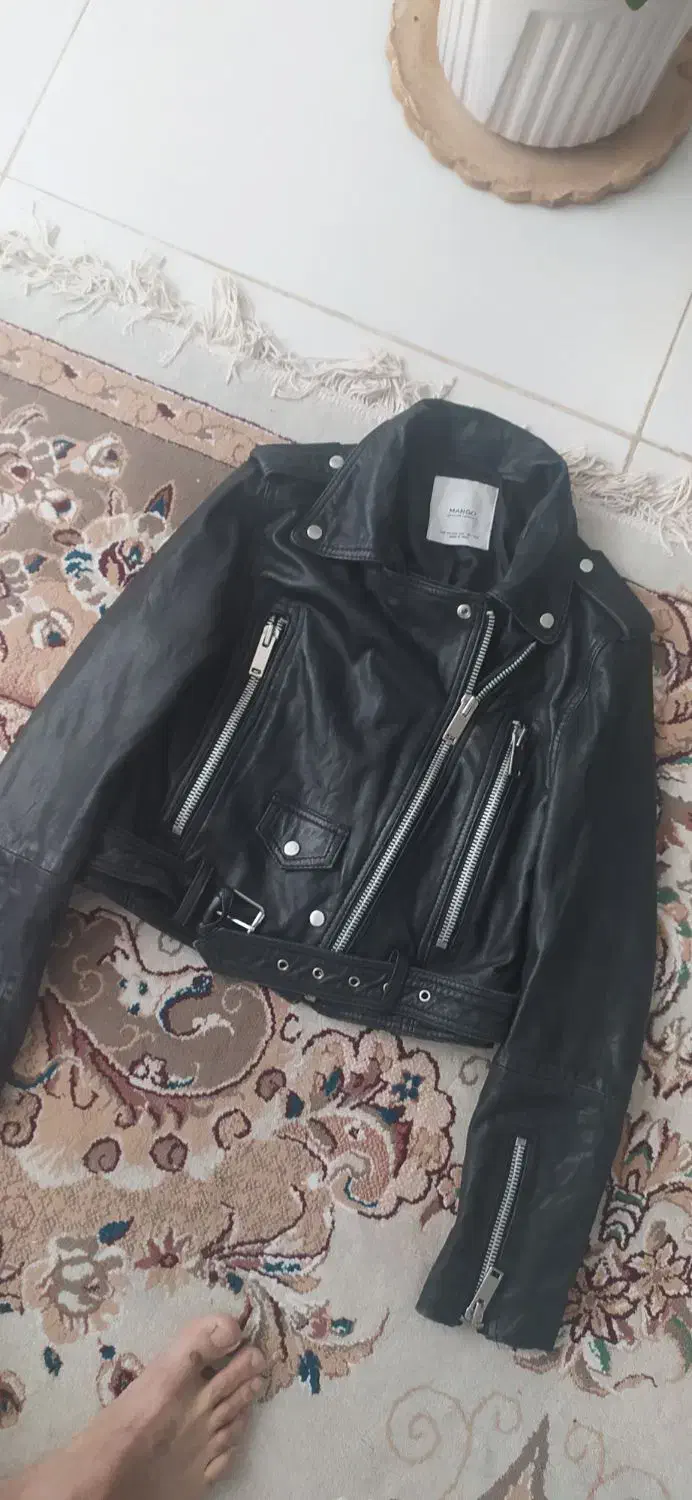 کاپشن اسپورت چرمی خارجی|لباس|کاشمر, |دیوار