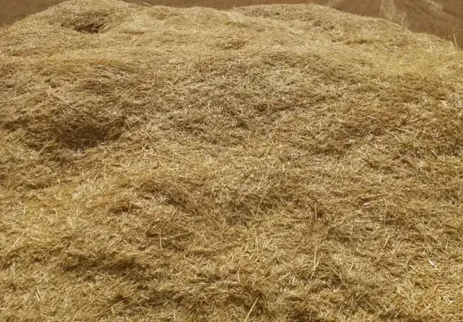 کاه جو|لوازم جانبی حیوانات|کنگاور, |دیوار