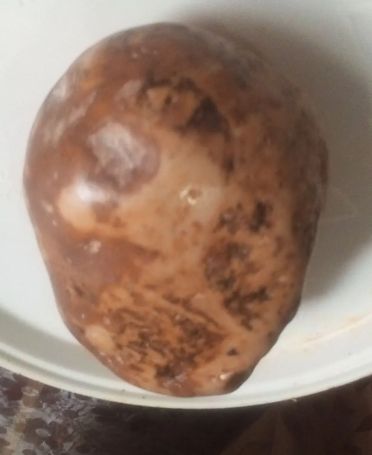 سنگ جاسپر کهربایی|جواهرات|شاهینشهر, گزبرخوار|دیوار