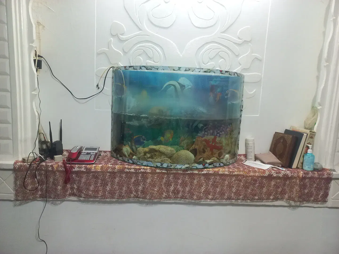 آکواریوم شیشه خم|ماهی|خرمآباد, |دیوار