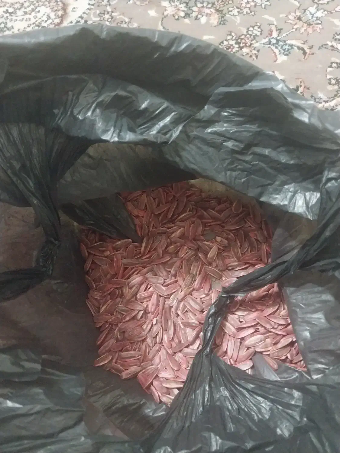 بذر تی ۵ اس ۴۰۰|گل و گیاه طبیعی|خوی, |دیوار