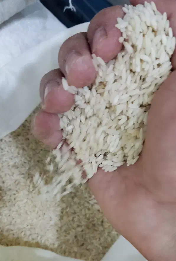 برنج عنبربو جنوب تبدیل تالش درجه 1|خوردنی و آشامیدنی|قم, شهرک امام حسین|دیوار