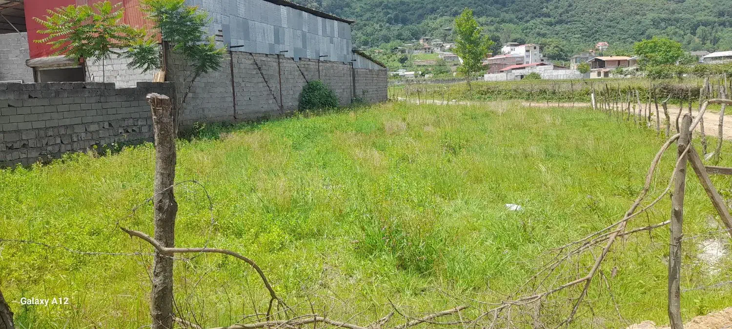 زمین|فروش زمین و ملک کلنگی|تالش, جوکندان|دیوار