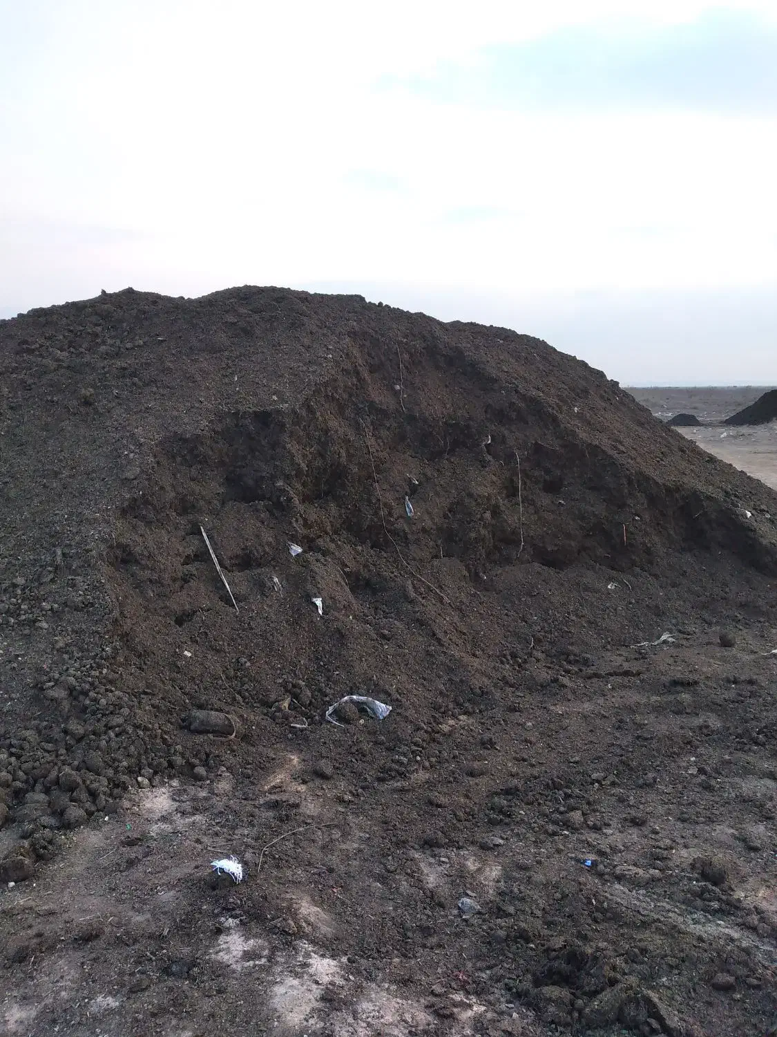 کودحیوانی خشک گوسفندی خالص عالی در محل بدونه کرایه|خدمات باغبانی و درختکاری|کرج, کمالشهر|دیوار